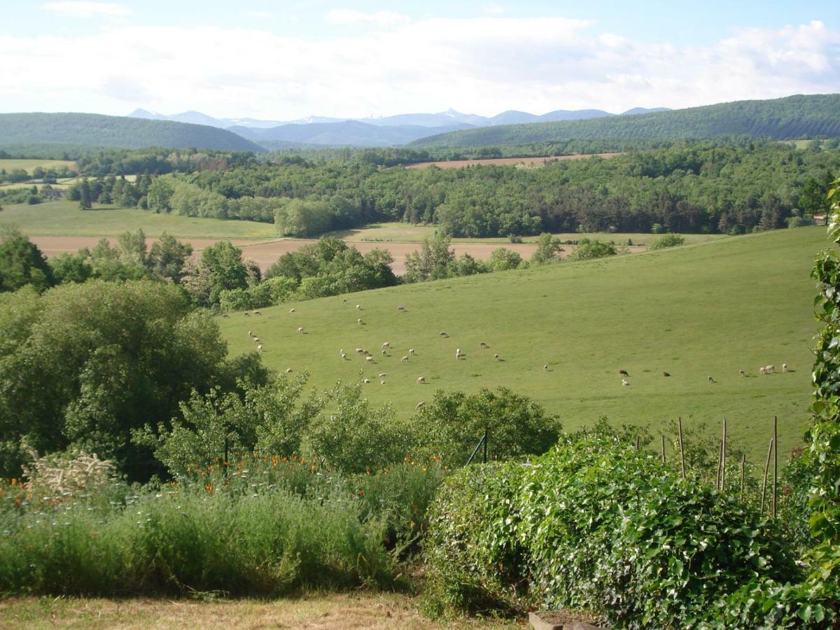 Gite Du Tarbesou Regat Exteriör bild